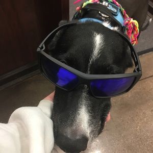 Meet your Posher, Shiva